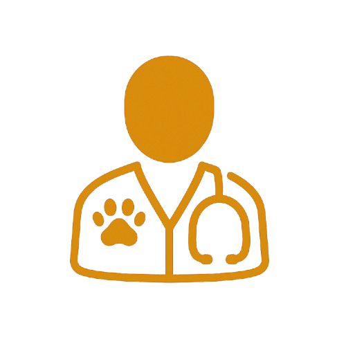 OPD Consultations & General Medicine