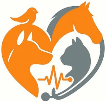 mangoanimalhealthcentre.com