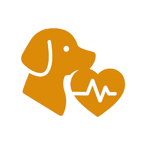 Veterinary Cardiology (Specialized Care)